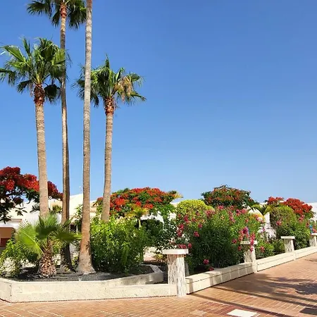 The Palms Poolview Balcony 圣米格尔德阿沃纳